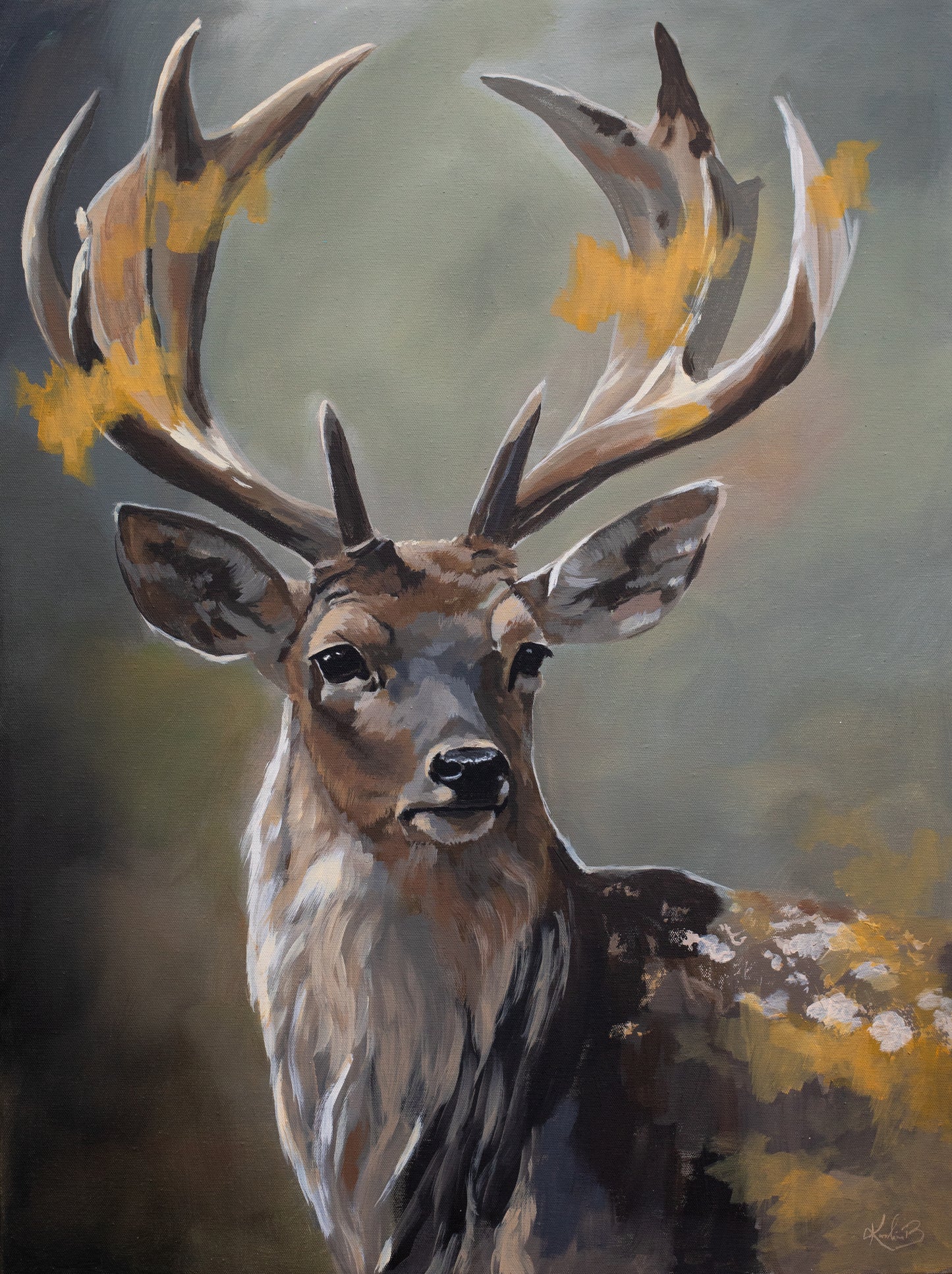 "Wonders of the Dark Season"