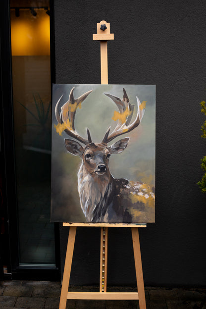 "Wonders of the Dark Season"